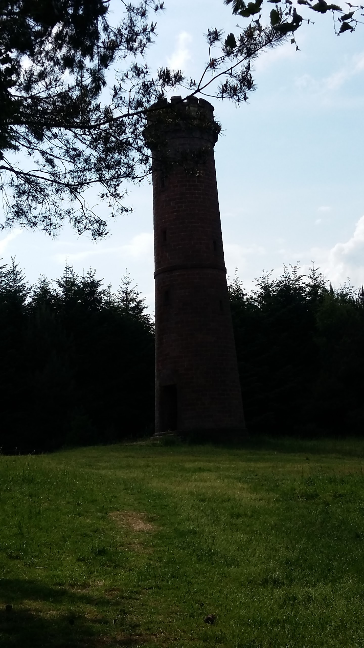 Photo n° 12 de l'avis de Danielle.a fait le 08/06/2017 à 19:01