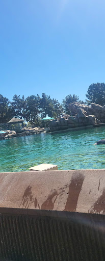 Casino «Bingo Casino», reviews and photos, 4109 Club Manor Dr, Pueblo, CO 81008, USA