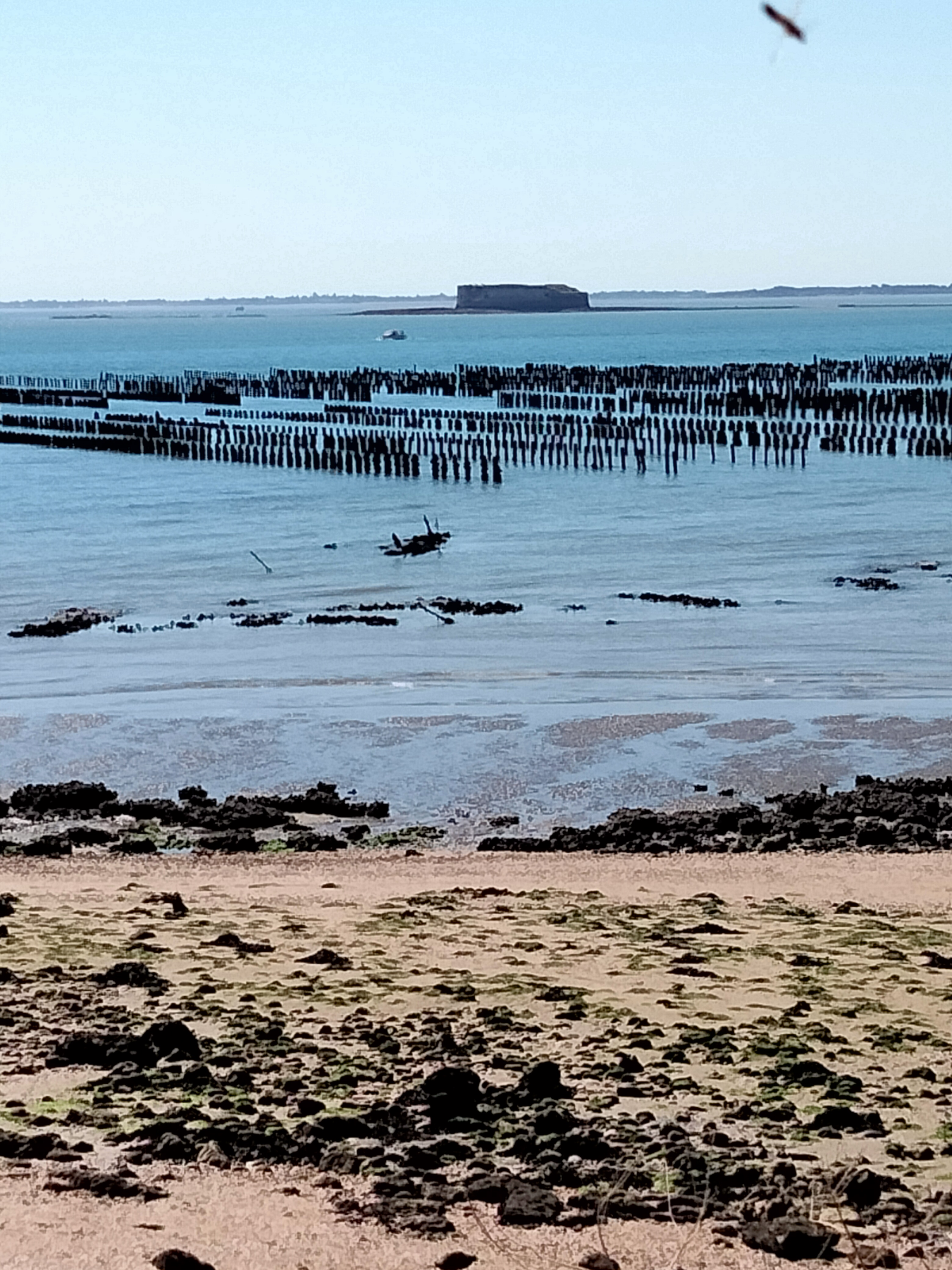Photo n° 7 de l'avis de Didier.g fait le 11/08/2022 à 16:09