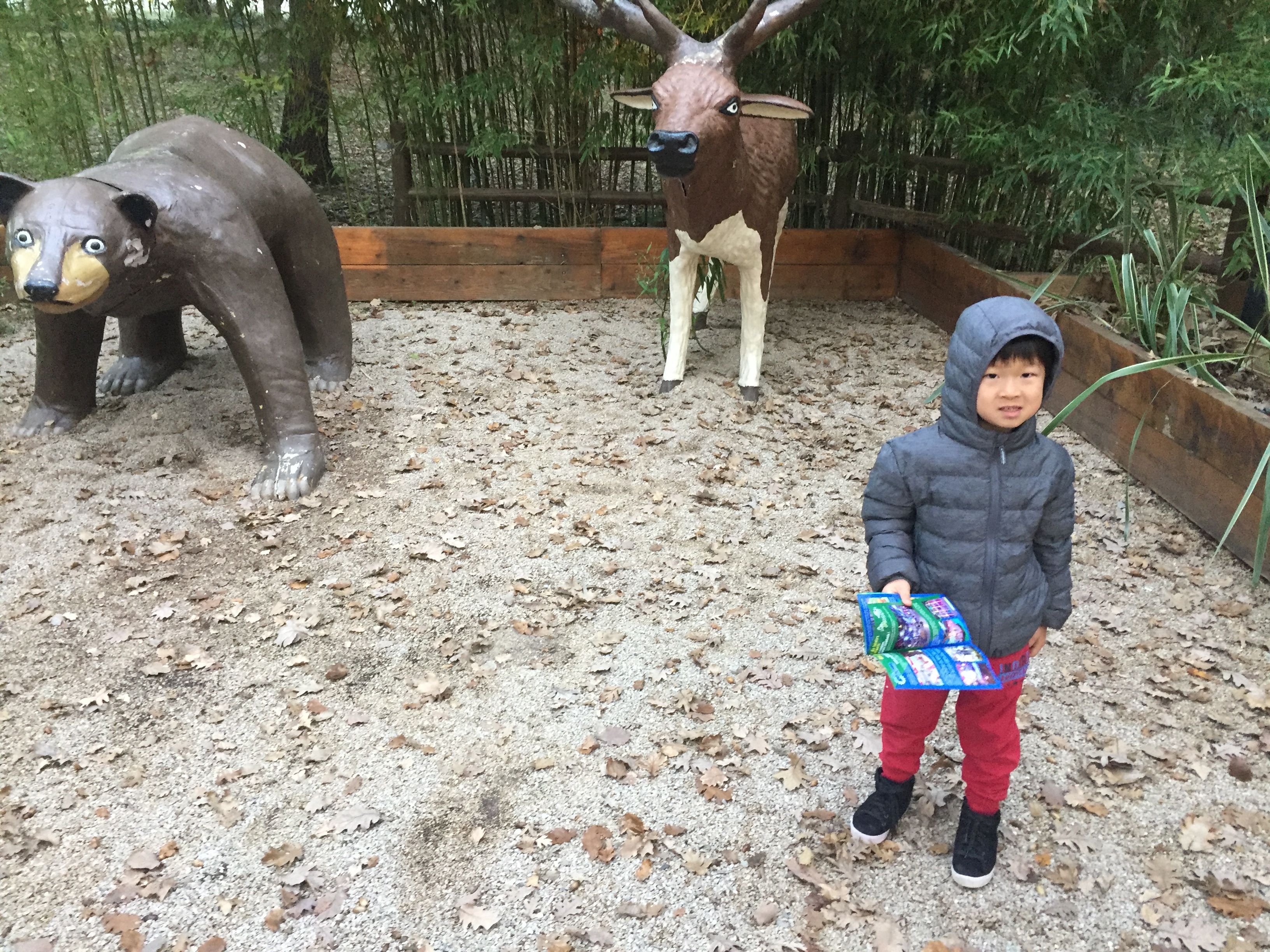 Photo n° 7 de l'avis de Woosuk. fait le 21/12/2019 à 09:12