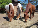 Baylands Equestrian Centre