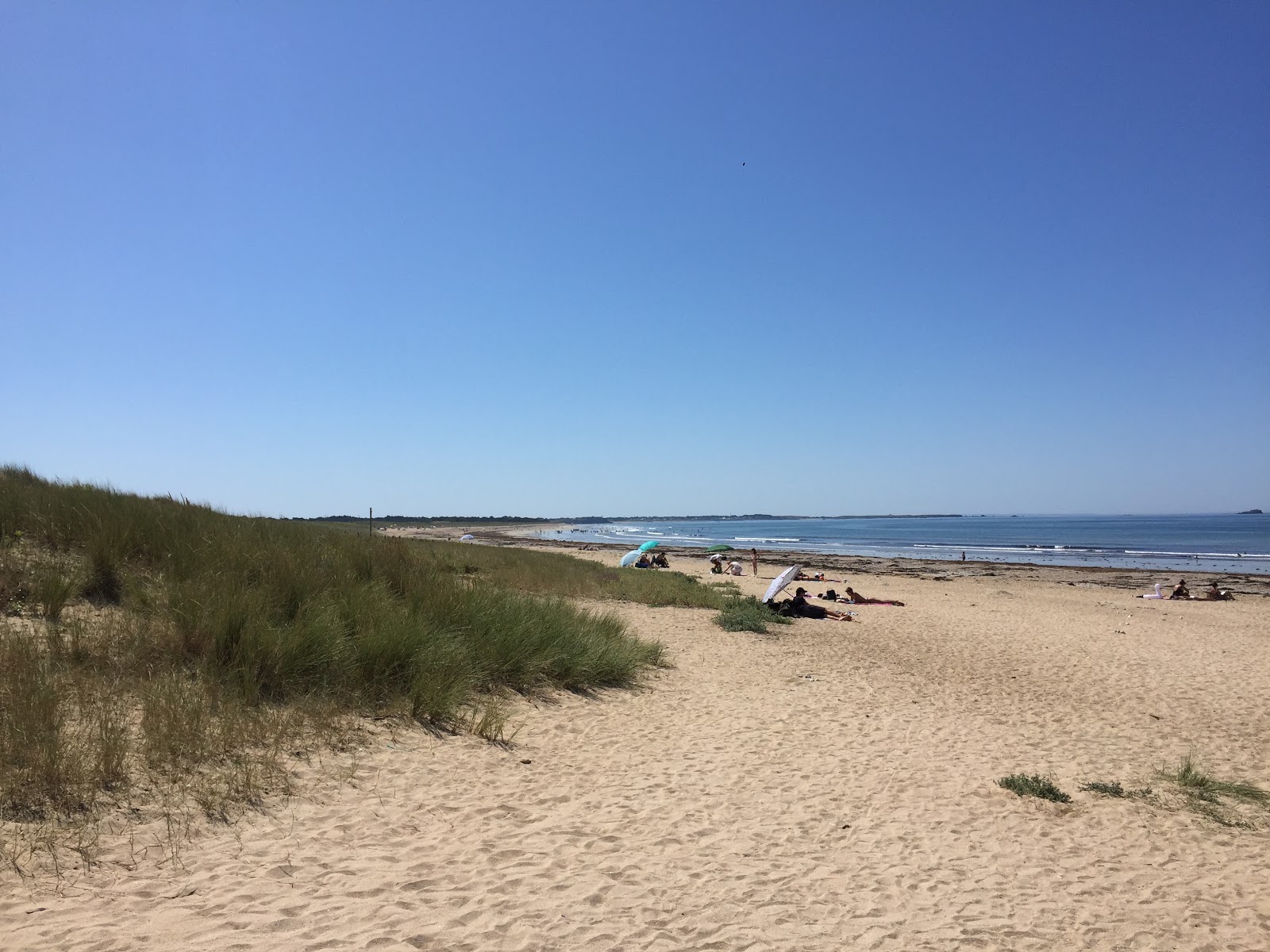 Beach Mane Guen'in fotoğrafı düz ve uzun ile birlikte