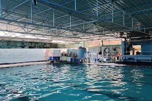 Venkatadri Star Indoor Swimming Pool image