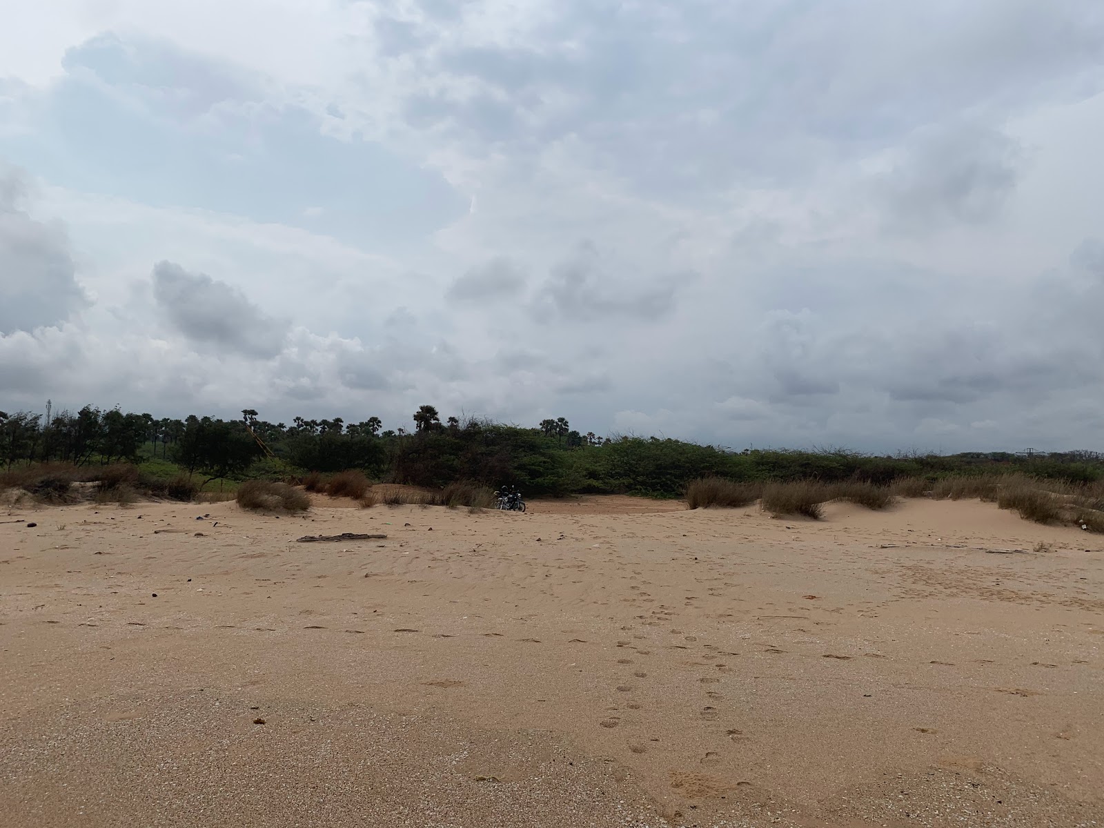 Foto van Kundal Beach wilde omgeving