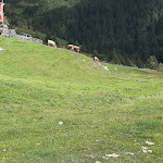 Photo n°1 de l'avis de Federica.m fait le 21/08/2021 à 12:55 sur le  Klammbachalm - Malga Klammbach à Moos