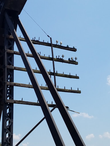 Bicycle Store «Harpers Ferry Outfitters & Bike Shop», reviews and photos, 129 Potomac St, Harpers Ferry, WV 25425, USA