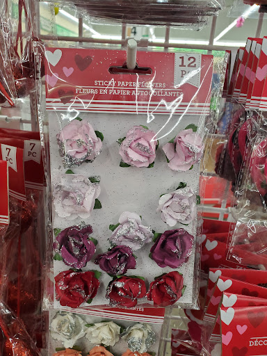 Dollar Store «Dollar Tree», reviews and photos, 1207 New Brunswick Ave, Phillipsburg, NJ 08865, USA