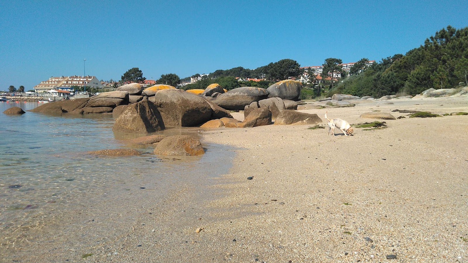 Valokuva Dog beach O Espinoista. - suosittu paikka rentoutumisen tuntijoille