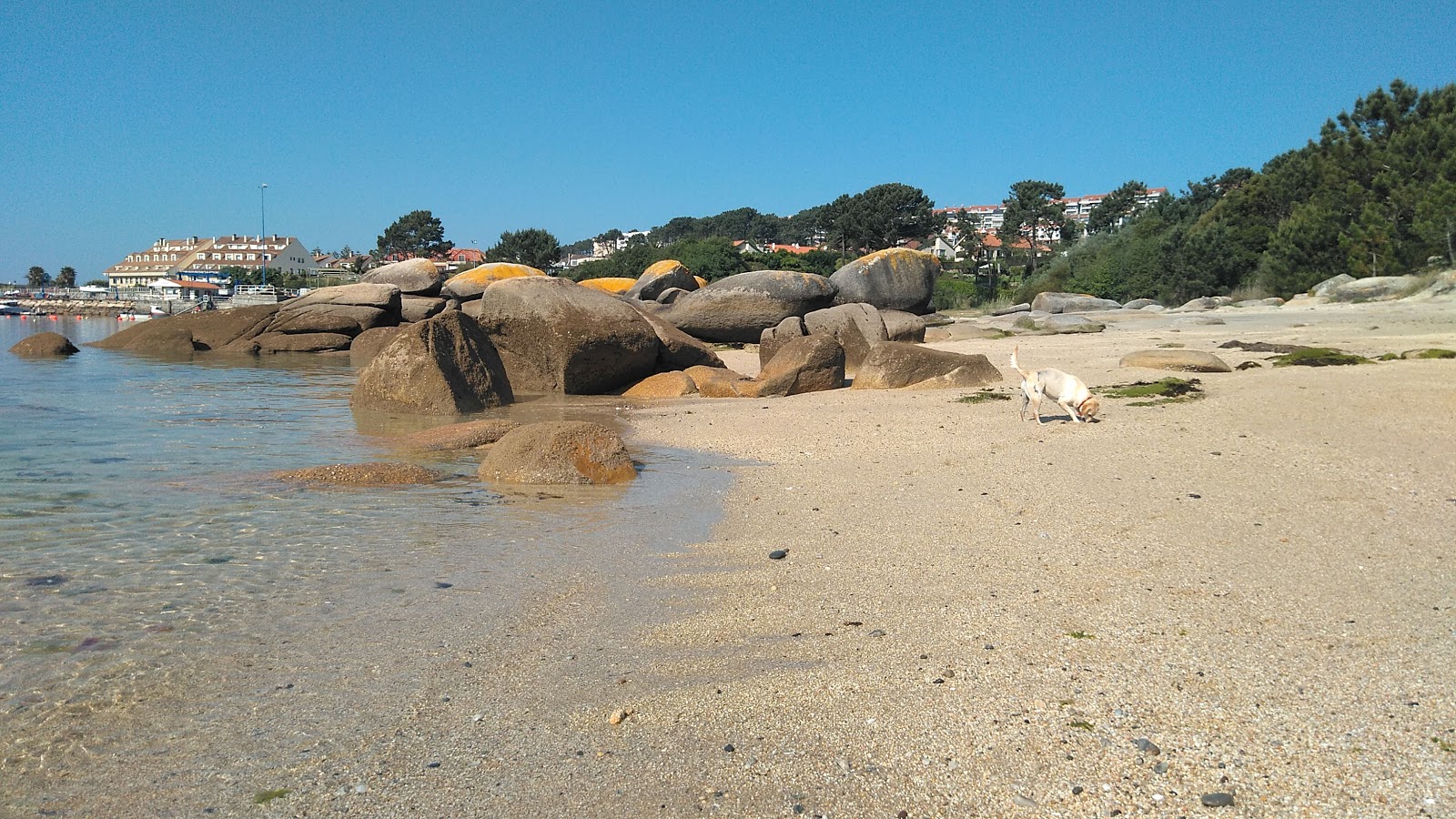 Φωτογραφία του Dog beach O Espino - καλό φιλικό προς τα κατοικίδια σημείο για διακοπές