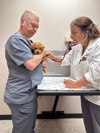 Viewmont Animal Hospital image