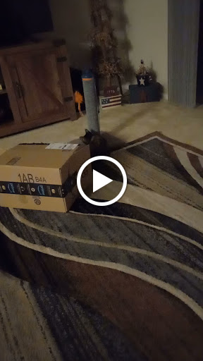 Animal Protection Organization «Greenville Humane Society», reviews and photos