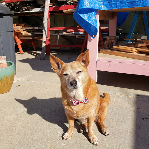 Pet Supply Store «Petropolis Camarillo», reviews and photos, 5800 Santa Rosa Rd Suite 144, Camarillo, CA 93010, USA