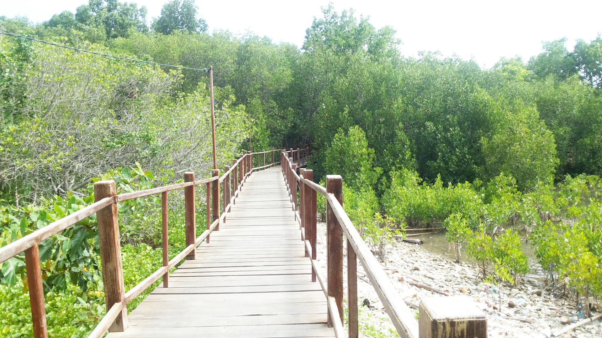 Mangrove Park: Harga Tiket, Foto, Lokasi, Fasilitas dan Spot