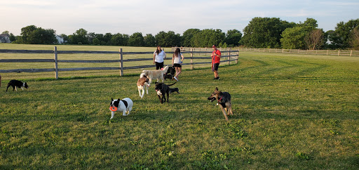 Dog Park «Daisy Dog Park», reviews and photos, 13214 Blakely Dr, Plainfield, IL 60585, USA