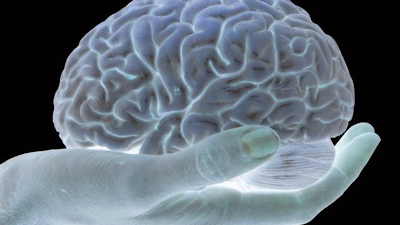 Dr Philippe Gorce - Neurologue Toulouse à Saint-Jean