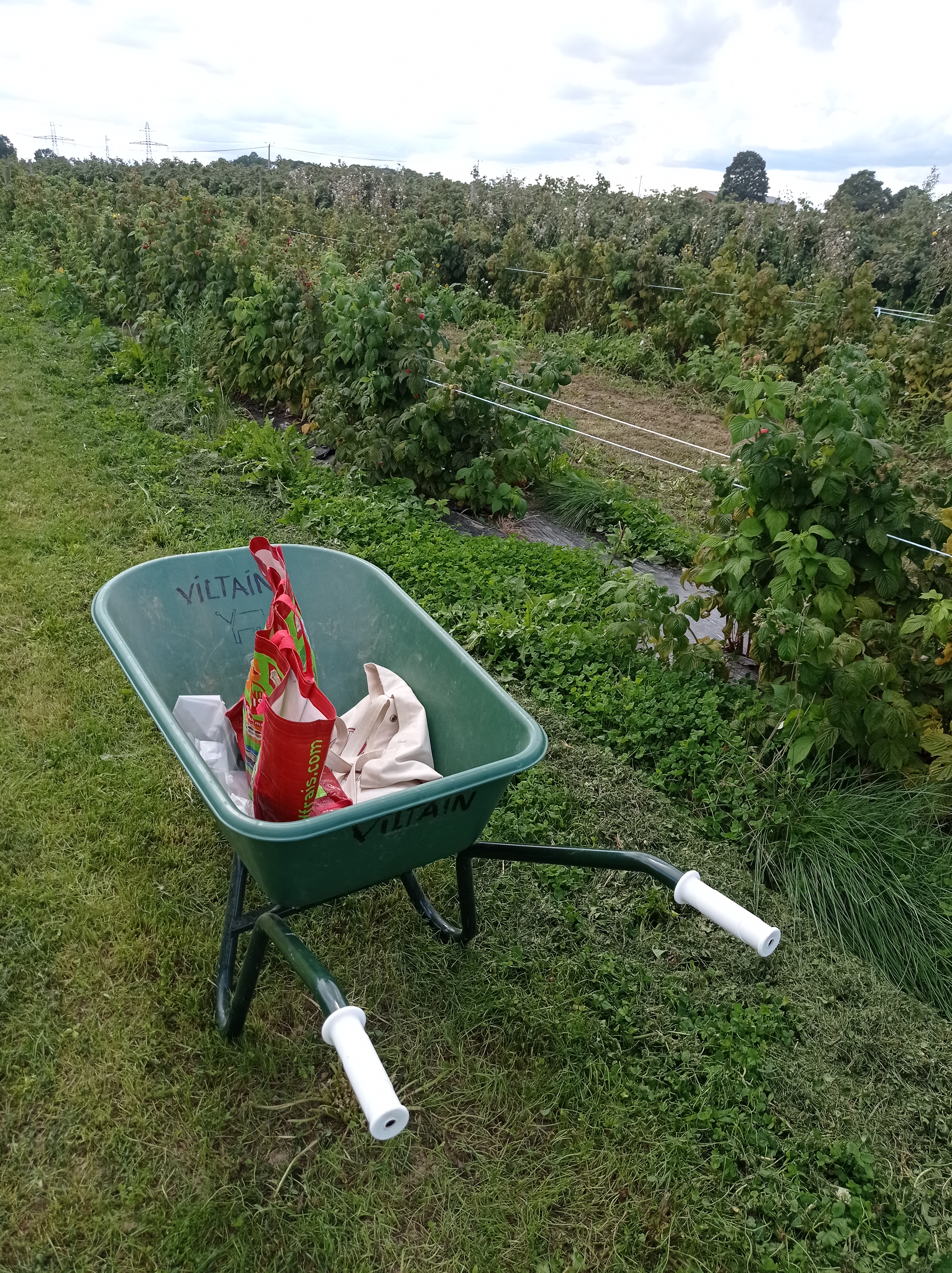 Photo n° 10 de l'avis de alexandre.u fait le 27/08/2023 à 13:21