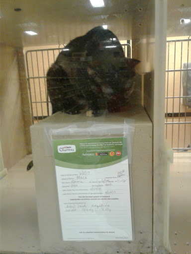 Pet Supply Store «PetSmart», reviews and photos, 5890 Trussville Crossings Pkwy, Birmingham, AL 35235, USA