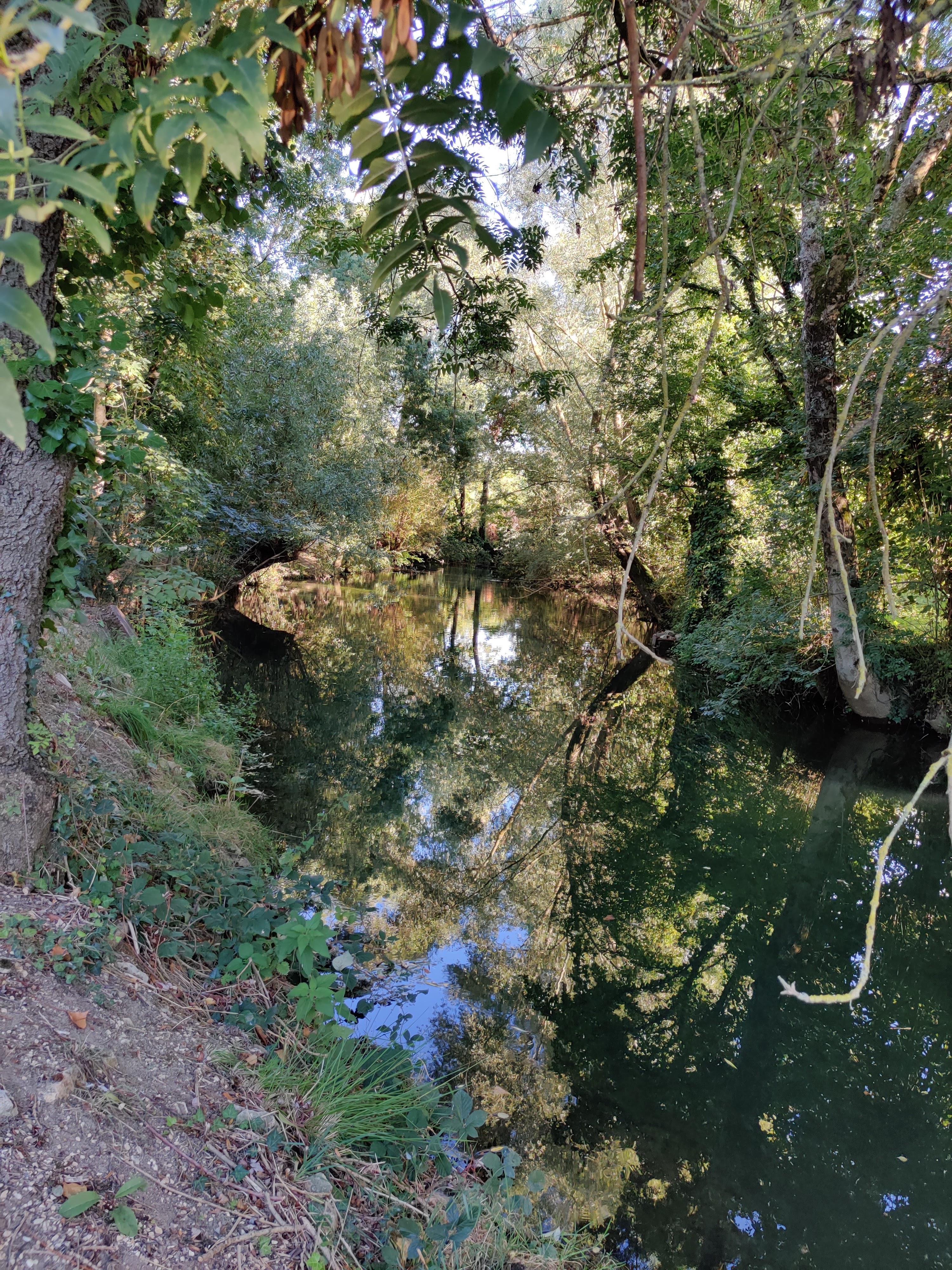 Photo n° 1 de l'avis de Jean-François.i fait le 17/09/2023 à 16:20