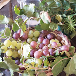 Photo n°6 de l'avis de Jill.e fait le 23/09/2019 à 15:04 sur le  Agriturismo Casa Bianca à Lentini