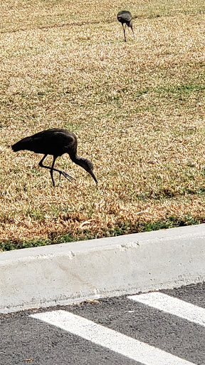 Park «Laguna Niguel Regional Park», reviews and photos, 28241 La Paz Rd, Laguna Niguel, CA 92677, USA