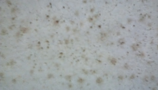 General Contractor «Southeast Restoration of Canton», reviews and photos, 120 Mountain Brook Dr, Canton, GA 30115, USA