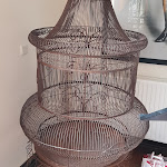 Photo n°5 de l'avis de Otto.e fait le 13/06/2022 à 04:51 sur le  Drei Kronen à Tecklenburg