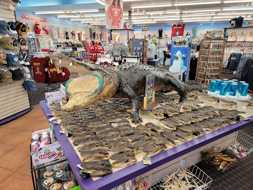 Gift Shop «Magic Castle Gift Kingdom», reviews and photos, 7646 W Irlo Bronson Memorial Hwy, Kissimmee, FL 34747, USA