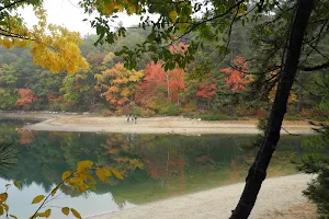 Walden Pond State Reservation image