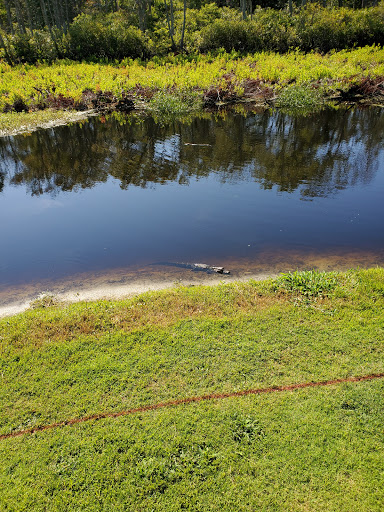 Golf Club «Oak Island Golf Club», reviews and photos, 928 Caswell Beach Rd, Oak Island, NC 28465, USA