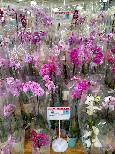 Supermarket «Publix Super Market at St. Andrews», reviews and photos, 5473 NW St James Dr, Port St Lucie, FL 34983, USA