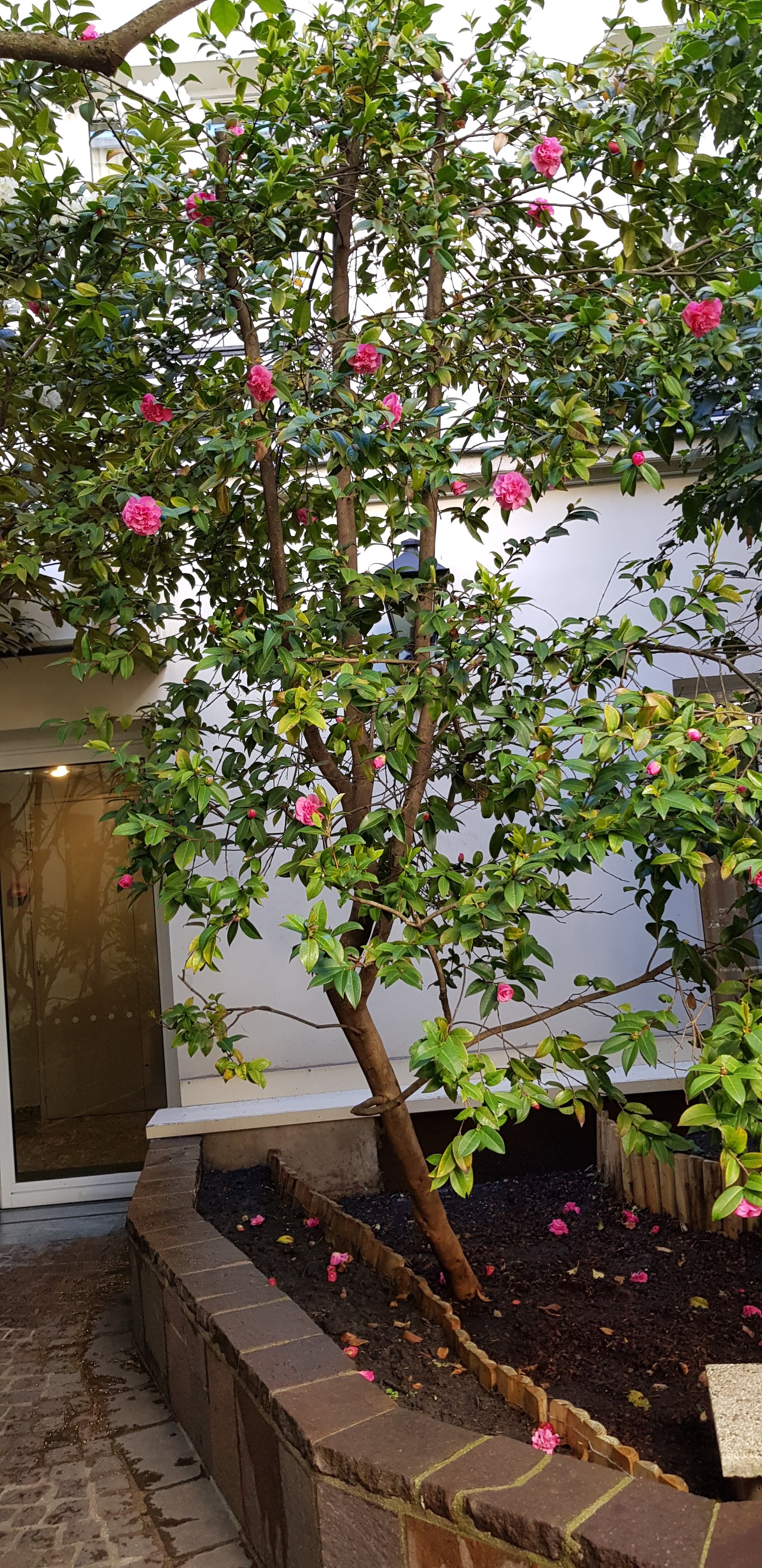 Photo n° 2 de l'avis de MarieAgnes.r fait le 23/05/2019 à 09:37