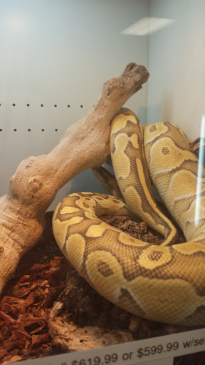 Pet Store «Olathe Pet Shop», reviews and photos, 16651 151st St, Olathe, KS 66062, USA