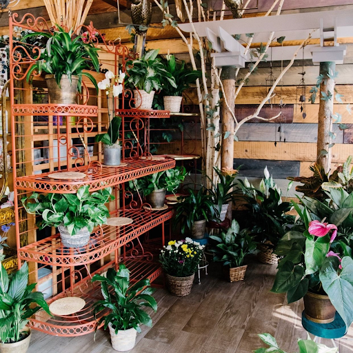 Florist «The Posy Place», reviews and photos, 2757 Washington Blvd, Ogden, UT 84401, USA