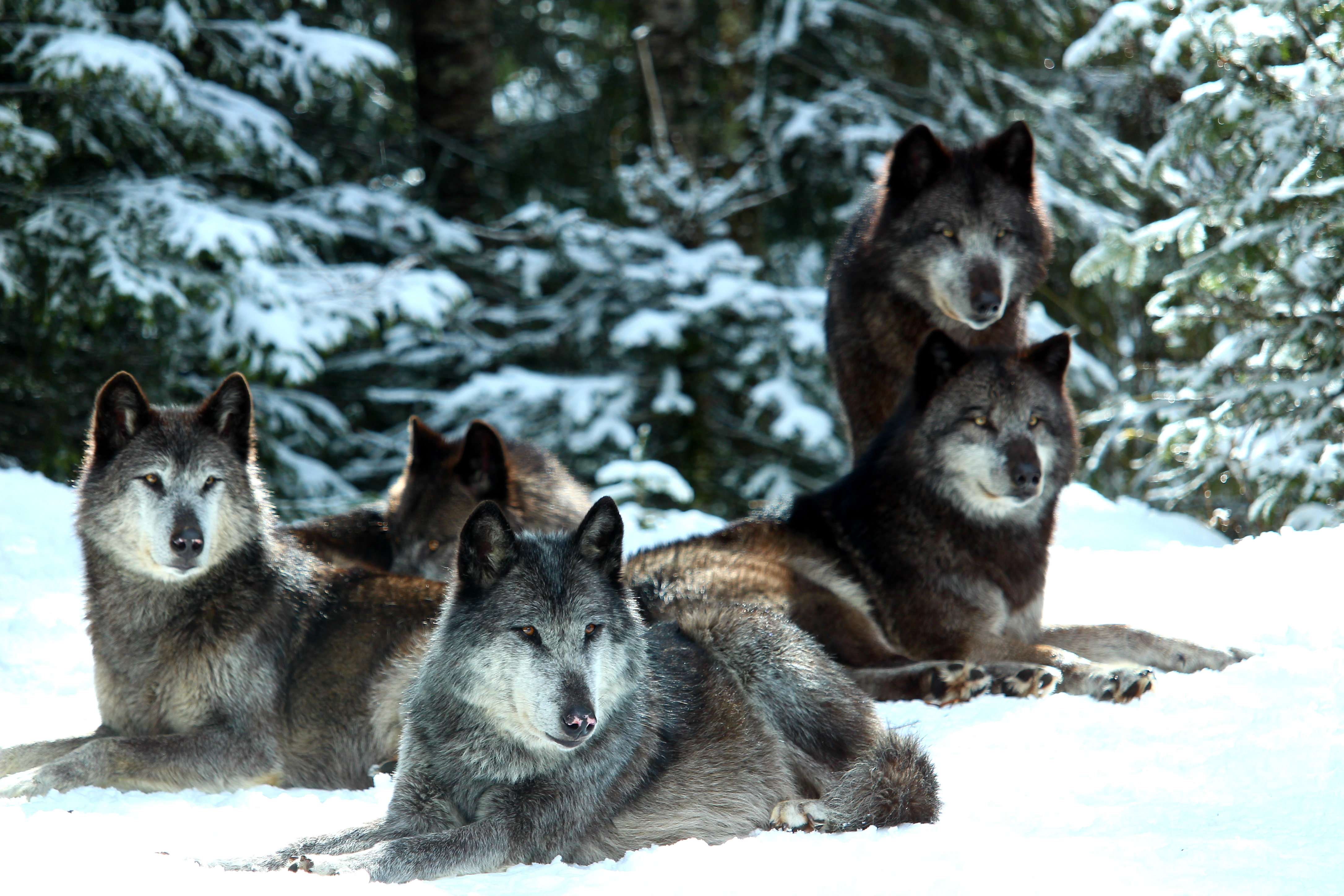 Photo n° 2 de l'avis de Sébastien.a fait le 02/04/2018 à 19:03