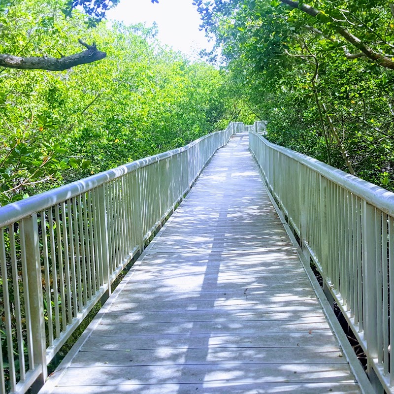 Mangrove Park