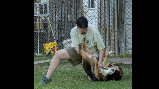 132 Pinewood Knoll Ln, Sudlersville, MD 21668, USA