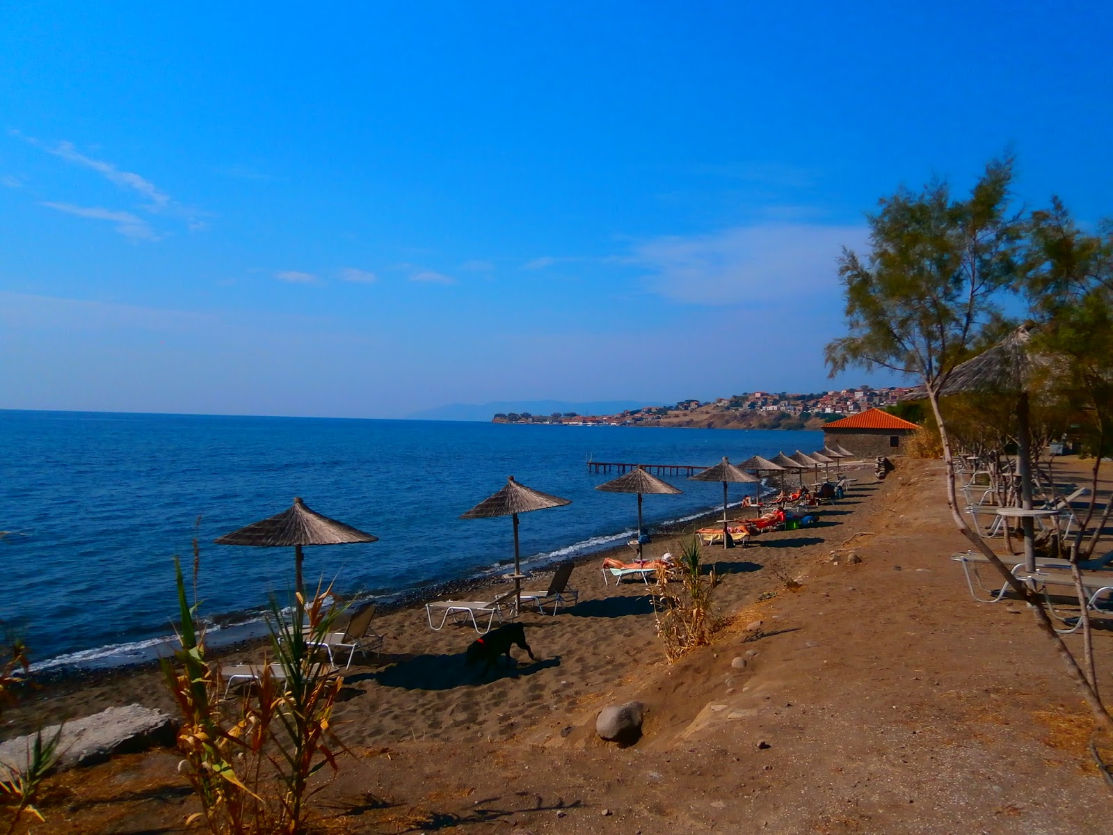 Foto van Delfinia Strand voorzieningenruimte