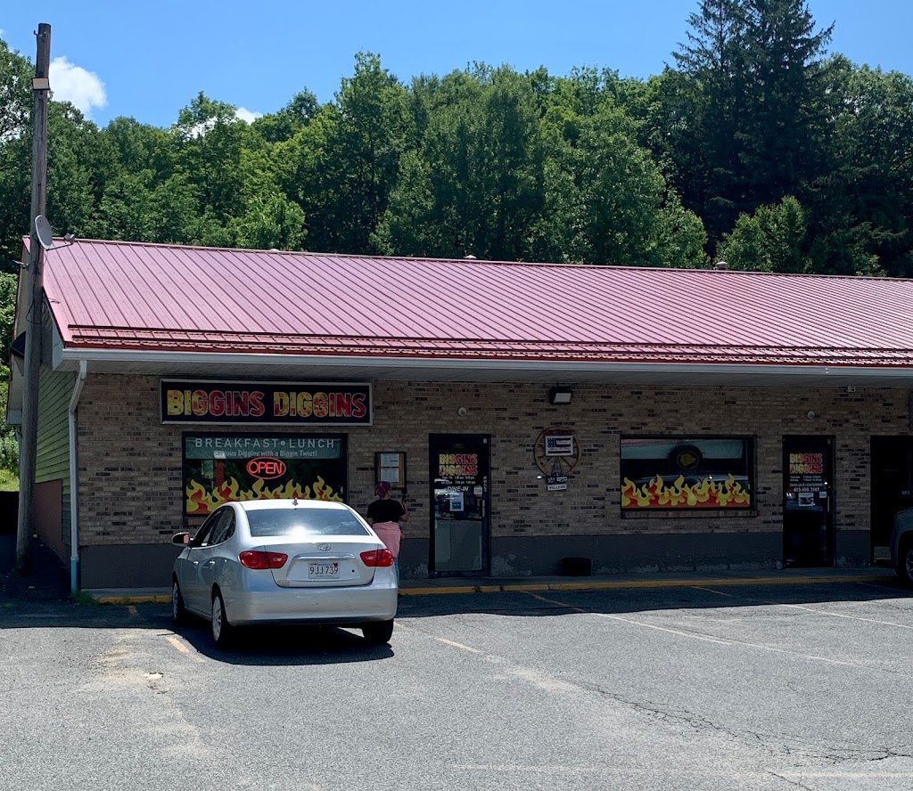 Biggins Diggins 01237