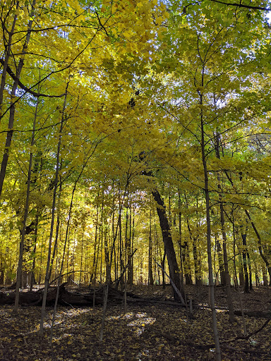 Golf Course «The Oaks Disc Golf Course», reviews and photos, 10847 W La Porte Rd, Mokena, IL 60448, USA