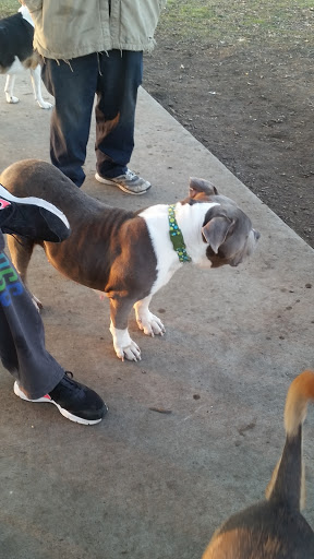 Dog Park «Dog Park», reviews and photos, 851 17th Ave SW, Altoona, IA 50009, USA