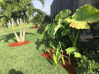 L&G Lawn Care Of SWFL LLC - Photo 8 - Car repair in , Bonita Springs