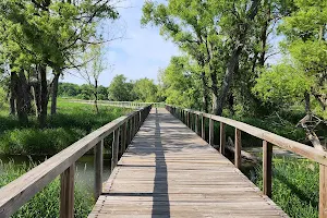 Hackbarth & Ponderosa Pit Trail System image