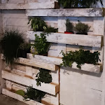 Photo n°13 de l'avis de Beatrice.a fait le 14/08/2020 à 22:23 sur le  Soul Food à Torre dell'Orso