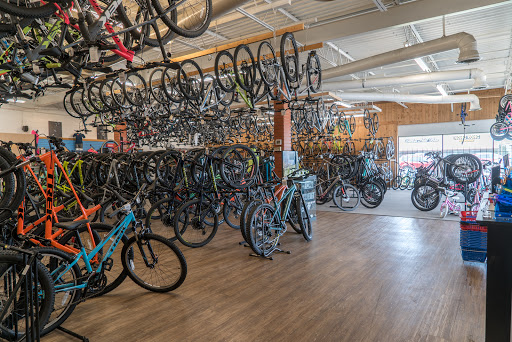 Bicycle Store «Richardson Bike Mart - Dallas», reviews and photos, 9040 Garland Rd, Dallas, TX 75218, USA