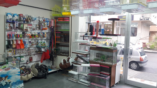 Akpınar Pet-Shop | Maltepe İstanbul - Evcil hayvan mağazası