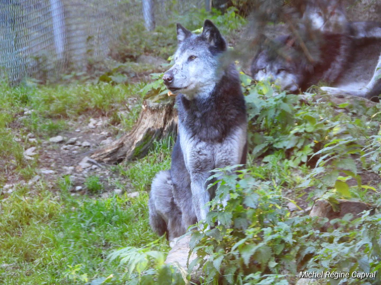 Photo n° 45 de l'avis de michel.a fait le 03/10/2019 à 13:25
