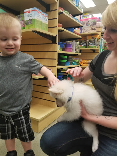 Pet Supply Store «Your Pet Experts», reviews and photos, 1665 State Hill Rd #490, Wyomissing, PA 19610, USA