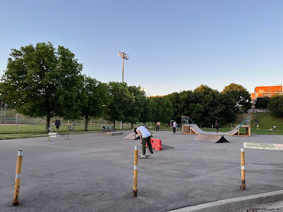 Christie Pits Skateboard Park