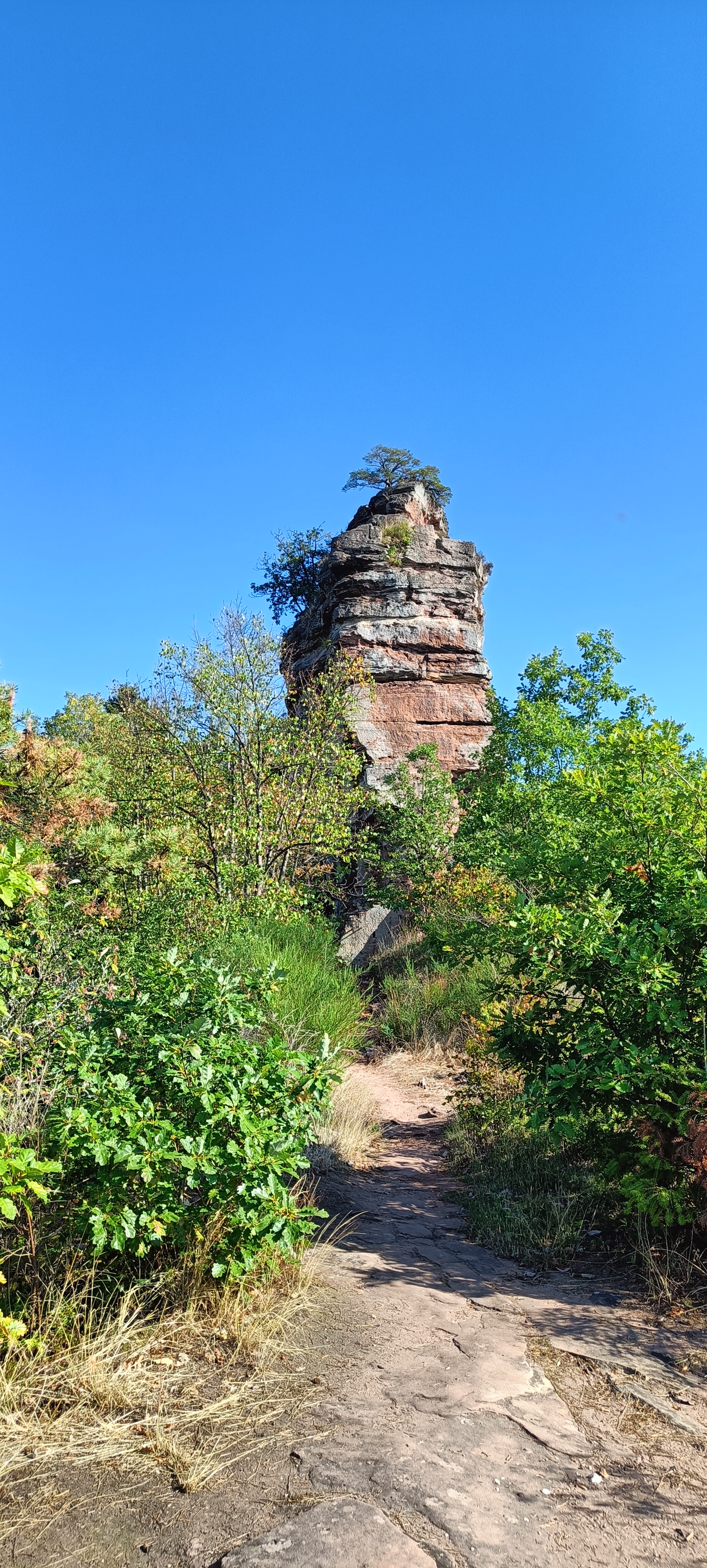 Photo n° 2 de l'avis de Jean-Christophe. fait le 29/09/2023 à 16:30