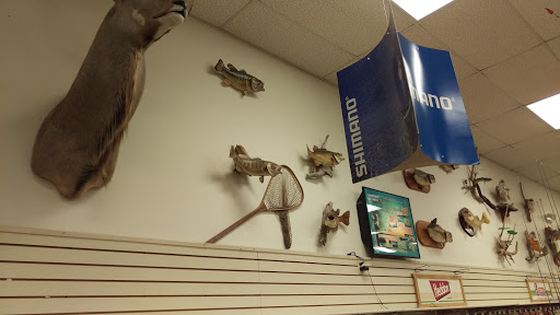 Sporting Goods Store «Kames Sports», reviews and photos, 8516 Cleveland Ave NW, North Canton, OH 44720, USA